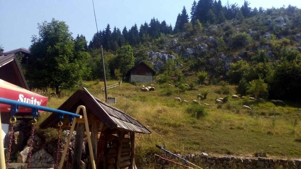 Guest house Planinarski Dom Cavljak *