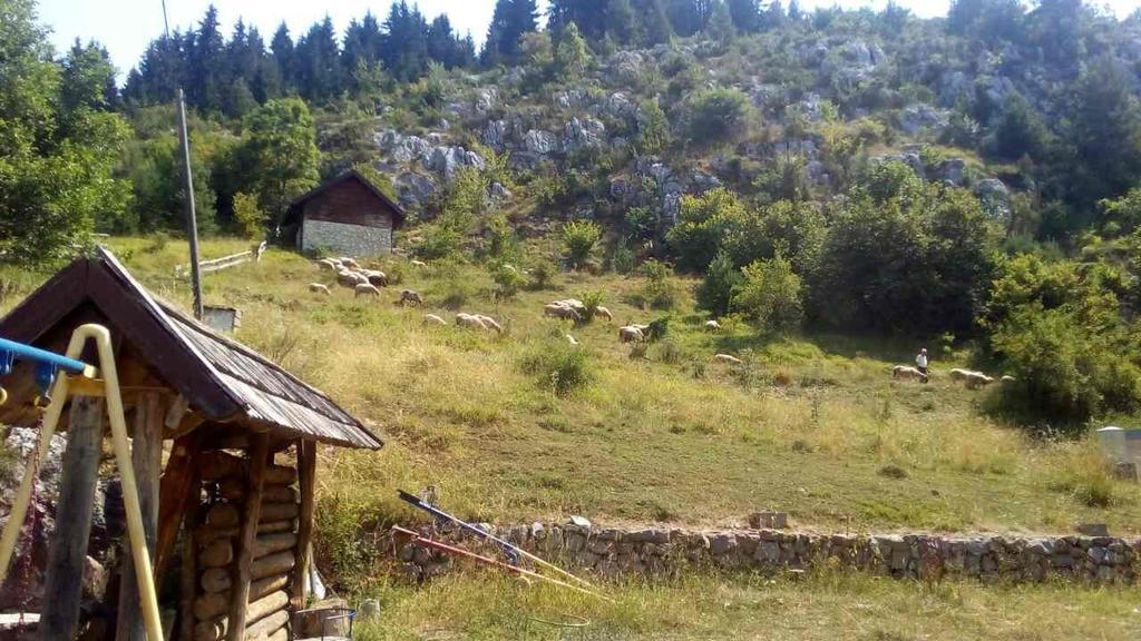 Guest house Planinarski Dom Cavljak